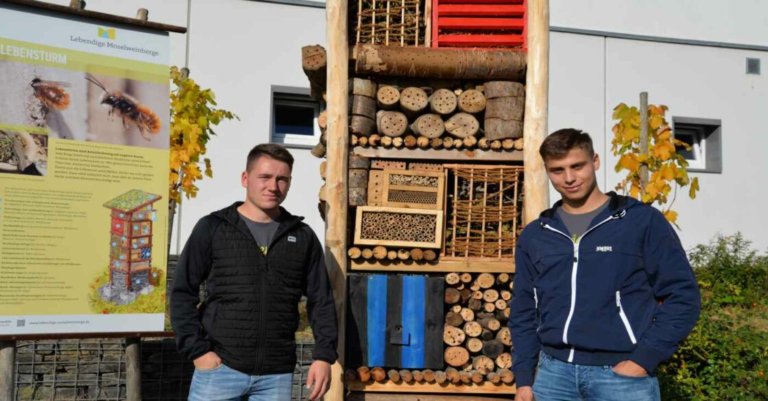 Maurice Wrusch und Julian Dietz vor Lebensturm, der die Biodiversität in der Mosel fördert.