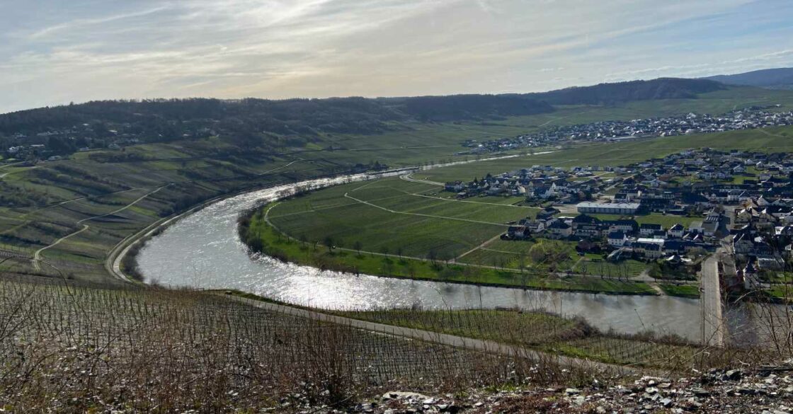 Ausblick von Weinberg über die Mosel und Trittenheim.