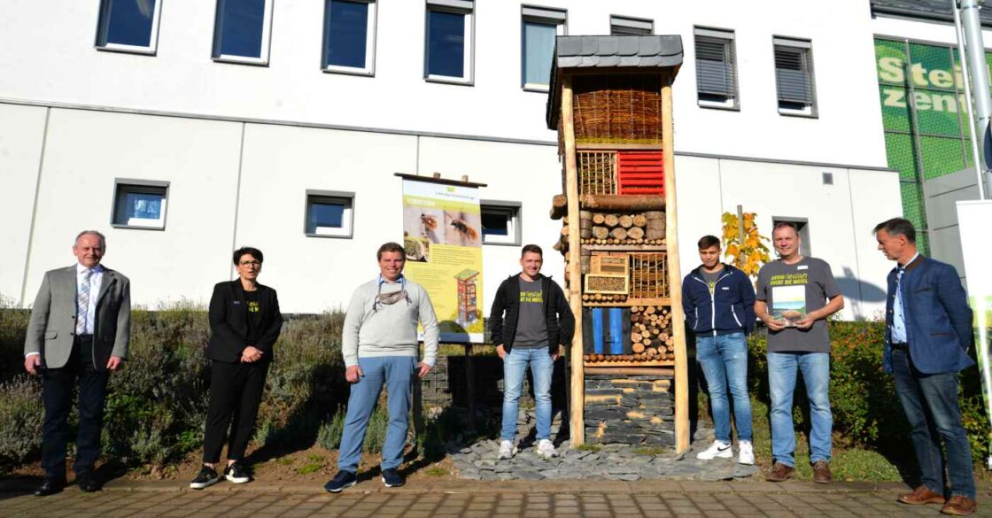 Durch natürliche Hochhäuser für Insekten steigt die Biodiversität, davon profitiert Mensch und Natur.