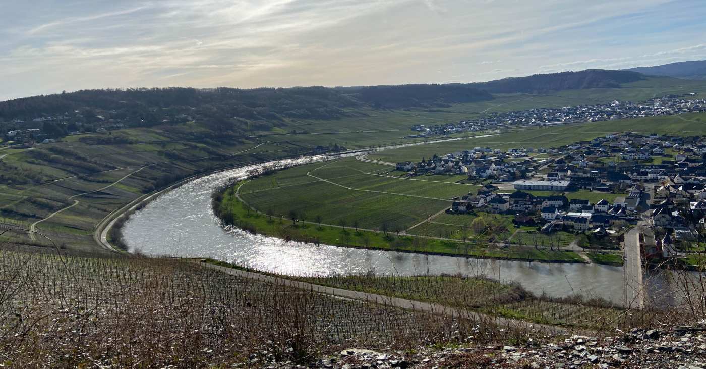 Ausblick von einem Weinberg mit Blick auf die Mosel.